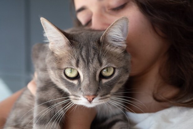 頭を吸われる猫