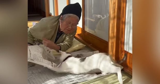 新聞を読むおばあちゃん→猫が『スライディング』で登場して…笑ってしまう展開が122万再生「新聞もじゃもじゃｗ」「なんて平和なんだｗ」