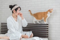 猫から『異臭』がするときに考えられる原因4つ　異常があるサイン？取るべき対処法も解説