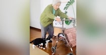 94歳のおばあちゃん→カートを押していると、『猫』がやって来て…心温まる『日常の光景』が45万再生「大好きなんだね」「いいコンビ」と絶賛