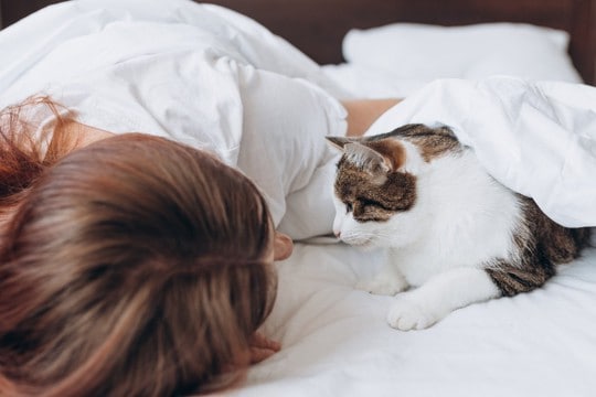 猫と『添い寝』するときにやってはいけない行動5選　思わぬトラブルに繋がる危険性も…？