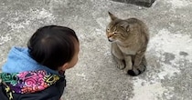 野良猫を発見した『1歳の男の子』→挨拶してみると……「可愛すぎて涙」驚きの展開が101万再生「天使と天使が遊んでる」「優しい世界」