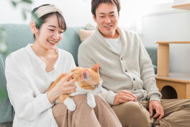 猫と遊ぶ男女