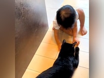 黒猫と仲良くしたい様子の赤ちゃん→優しく受け入れて…ずっと見ていたくなる『愛情あふれる光景』に称賛「優しい子なんだね」「お利口さん」