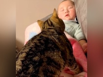 ソファで眠る赤ちゃん→ネコが『暖まるため』に近づくと…ずっと見ていたくなる『尊い光景』に「仲良し」「どちらもかわいいｗ」と反響の声