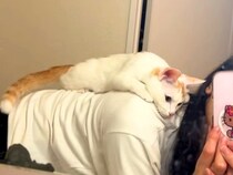 抱っこが苦手なネコ→『背中によじ登ってきた』と思ったら…悶絶級に可愛い『予想外の光景』に反響「天使」「こんな甘え方されたらたまらん」