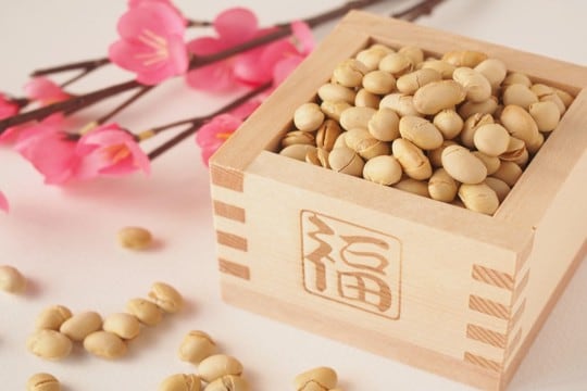 猫が『節分の豆』を食べるのは危険?楽しく安全に過ごすための工夫や注意点