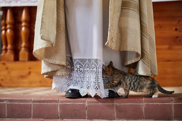 神父の足元にもぐりこもうとする猫