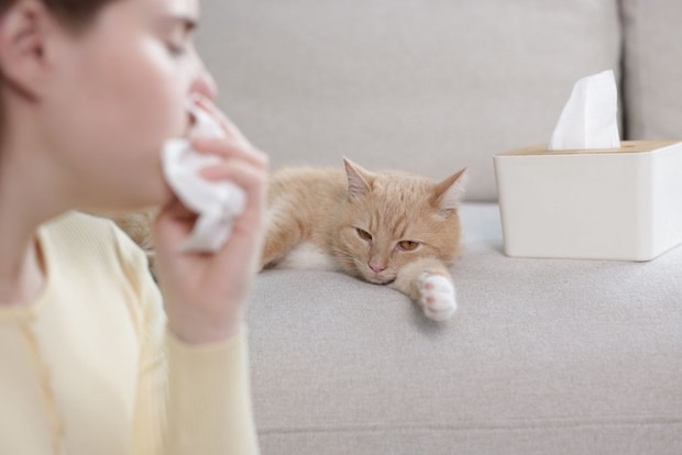 鼻をおさえる女性と猫