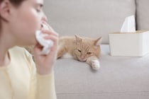 猫が持っている『怖い一面』3選　知っておくべきリスクや注意が必要なこと