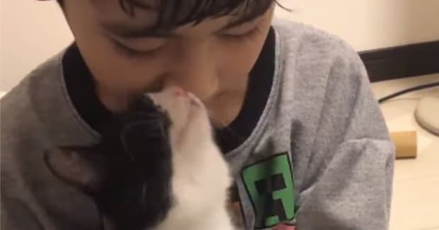 小さな男の子に抱っこされる子猫→4年後…とんでもなく尊い『ビフォーアフター』が41万再生「目頭が熱くなった」「大きくなったね」