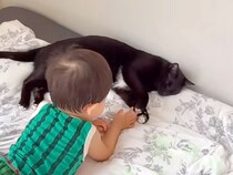 小さな男の子と一緒にお昼寝しようとする黒猫→ちょっかいを出されると…『仲良しな光景』が癒されると反響「本当優しい」「ずっと見てられる」