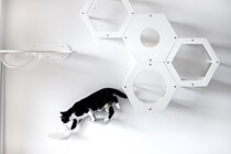 猫がのびのび暮らせる『DIYアイデア』4選　手軽に作れるコツや工夫もご紹介