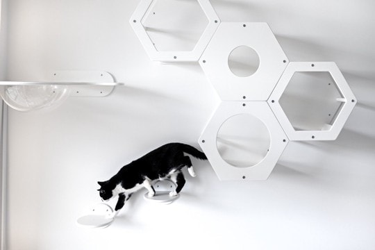 猫がのびのび暮らせる『DIYアイデア』4選　手軽に作れるコツや工夫もご紹介