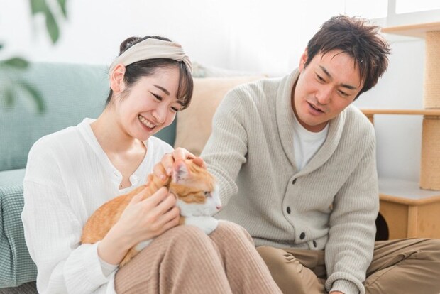 夫婦と猫