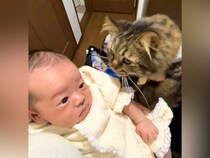 初めて対面した赤ちゃんをそっと見守るネコ→少しずつ距離が近くなって…宝物のような『尊い光景』に反響「見守ってるね」「可愛すぎる」