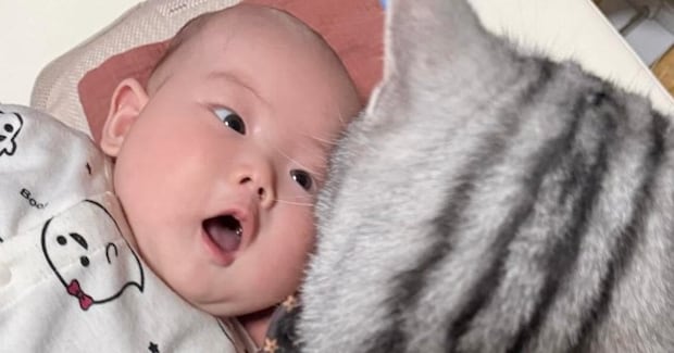 赤ちゃんを隣で見守るネコ→『赤ちゃん視点』から見てみた結果…衝撃的な光景に爆笑「ちょっと怖いｗ」「トラウマになりそうｗ」と２万いいね