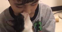 小さな男の子に抱っこされる子猫→4年後…とんでもなく尊い『ビフォーアフター』が41万再生「目頭が熱くなった」「大きくなったね」