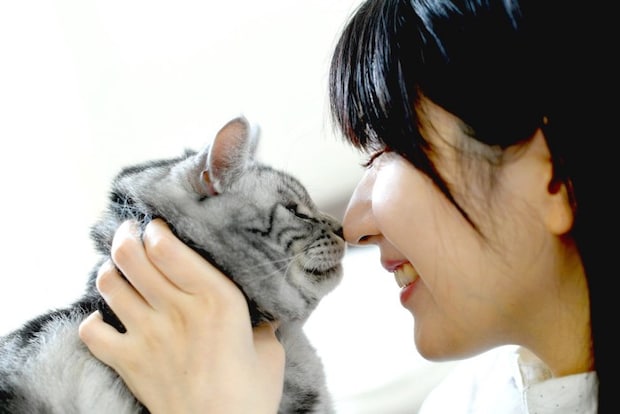 猫と触れ合う女性