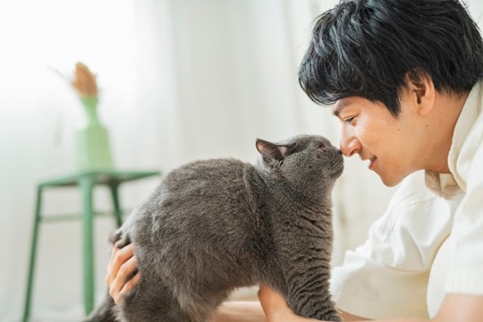 猫は『飼い主の声』を認識できる？実は愛猫が聞き分けていること5つ