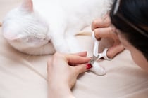 猫の『爪切り』をサボってはいけない理由5つ　放置による危険性から適切なケアのコツまで