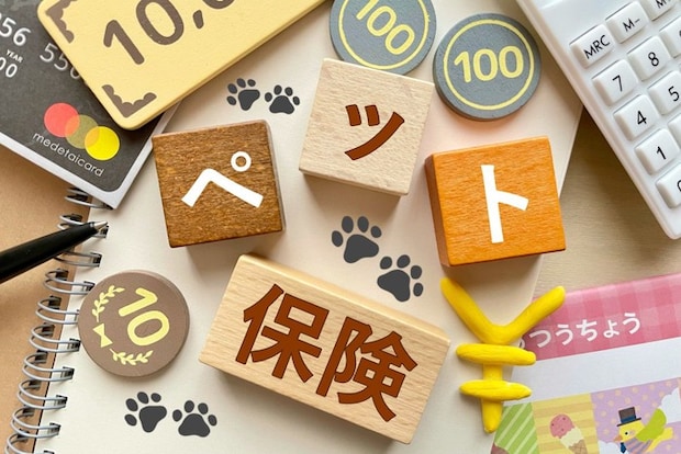 ペット保険のイメージ画像
