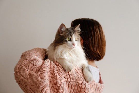 猫が『飼い主と他人』を判別しているポイント3つ 外見が違っても認識できる?