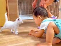 ゴミ収集場に捨てられていた保護子猫→人間の赤ちゃんと遊んだ結果…宝物のような『愛おしいやり取り』に反響「優しくナデナデできてえらい」