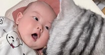 赤ちゃんを隣で見守るネコ→『赤ちゃん視点』から見てみた結果…衝撃的な光景に爆笑「ちょっと怖いｗ」「トラウマになりそうｗ」と２万いいね