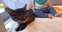 大好きな優しい猫を発見した赤ちゃん→『急接近』して……胸がいっぱいになる『尊い光景』に反響「涙が出てくる」「疲れた心が癒された」