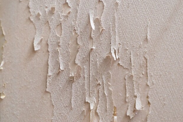 爪とぎでボロボロになった壁紙