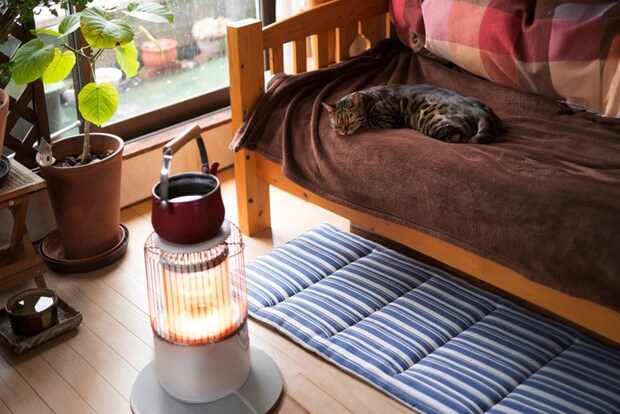 石油ストーブの部屋で寝る猫