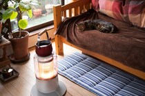 猫にとっては『絶対に妥協できない』こだわり4選　飼い主が理解しておくべき理由とは？