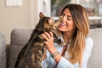猫が飼い主の『髪の毛を舐める』理由4つ　考えられる心理や対処法もご紹介