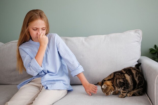 猫アレルギー？の少女と猫