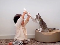 ０歳から一緒に過ごしてきた赤ちゃんと子猫→最高の相棒になり…『宝物のような光景』に「なんて尊い」「仲良しこよしが微笑ましい」と絶賛