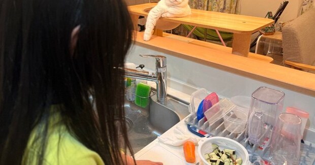 包丁の使い方を教わるお姉ちゃんを『見守る猫』→表情に笑ってしまう人が続出「師匠の貫禄ｗ」「カッコよく指導してくれそうｗ」と反響