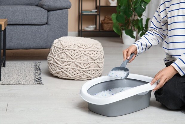 猫のトイレ掃除