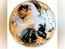 『綺麗な惑星…』透明ボウルに入った猫→下からのぞいてみると…想像を超える『まさかの光景』に「コーヒーゼリーかと」「高級ミケ玉」と反響