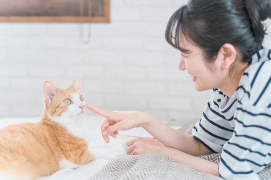 猫に『依存されやすい飼い主』の特徴や習慣5つ　起こりうるトラブルや上手な距離の取り方も