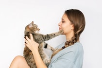 猫は家族の中で『好きな人・嫌いな人』ができる？　3つの理由や関係改善のヒント