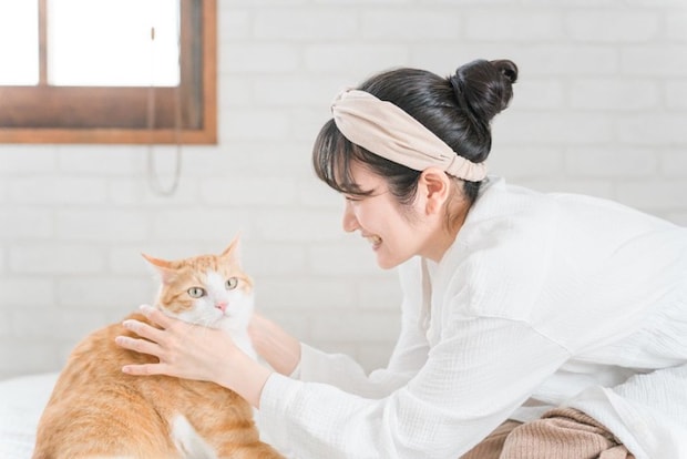 嫌がる猫