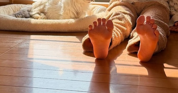 屋根裏に行くと、窓辺で『猫と少女』が…まるで物語のワンシーンのような『素敵な光景』に４万いいね「温かい気持ちになった」「もうジブリ」