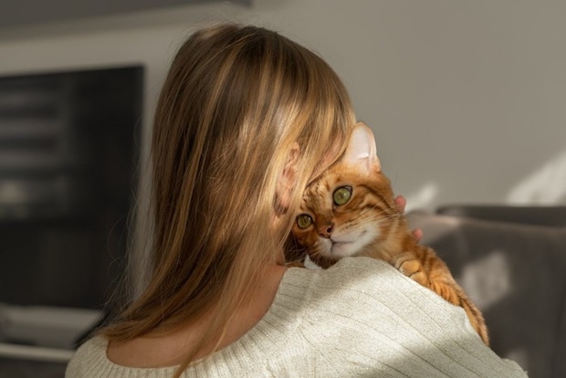 見つめ合う猫と女性