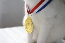 「金メダルは愛猫に捧ぐ」　米国フィギュアスケート選手からの贈りもの