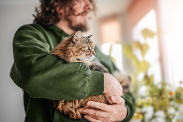 猫を抱く男性