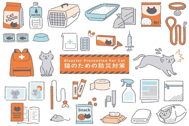 赤いリュックサックから顔を覗かせる猫