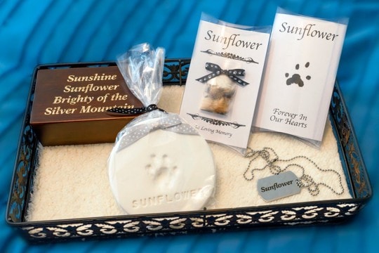 猫が亡くなったときに『形見』を残す方法5つ　愛猫の生きた証となる物とは