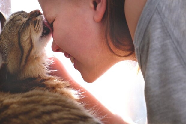 女の子の顔を舐める猫
