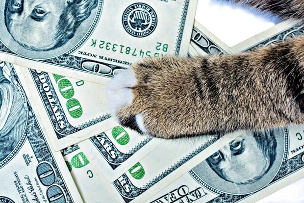 猫の手と札束